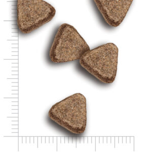 Amanova gato croquetas