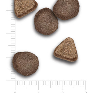 Amanova gatos Pavo croqueta