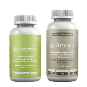 Artennua Artemisia Annua