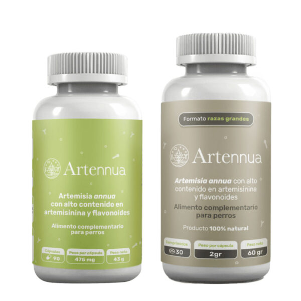 Artennua Artemisia Annua
