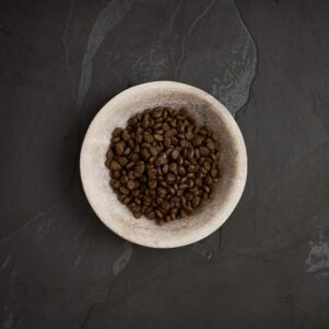 Canagan gatos Pavo campero PlaqueOff croquetas