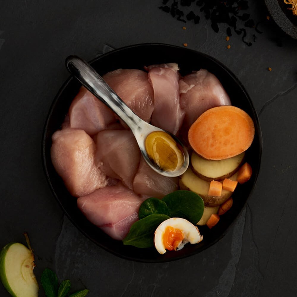 Canagan gatos Pollo Campero ingredientes