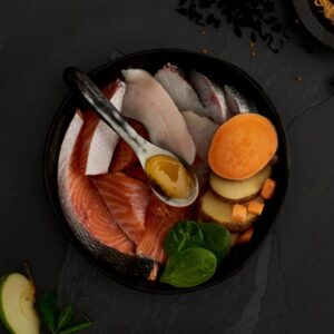 Canagan gatos Salmón Escocés ingredientes