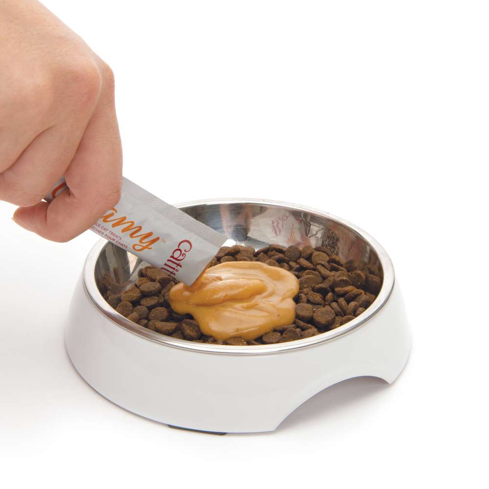 Catit Creamy snack para gatos 80 tubos pasta