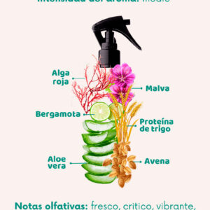 Doog Life Bruma Bergamota