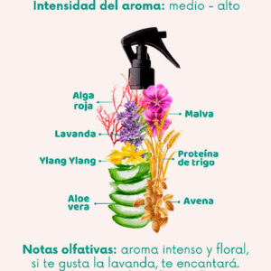 Doog Life Bruma Lavanda