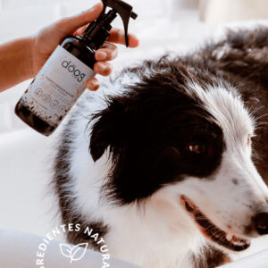 Doog Life Bruma perros