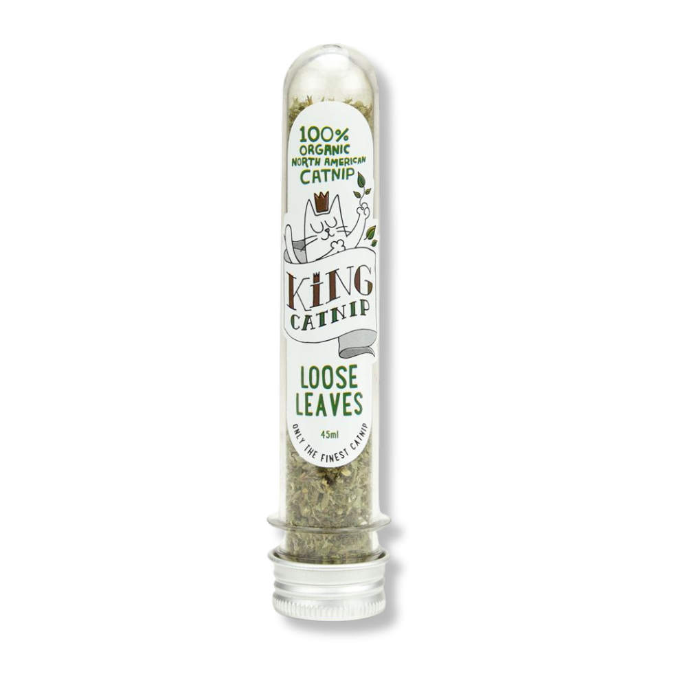 King Catnip hierba gatera