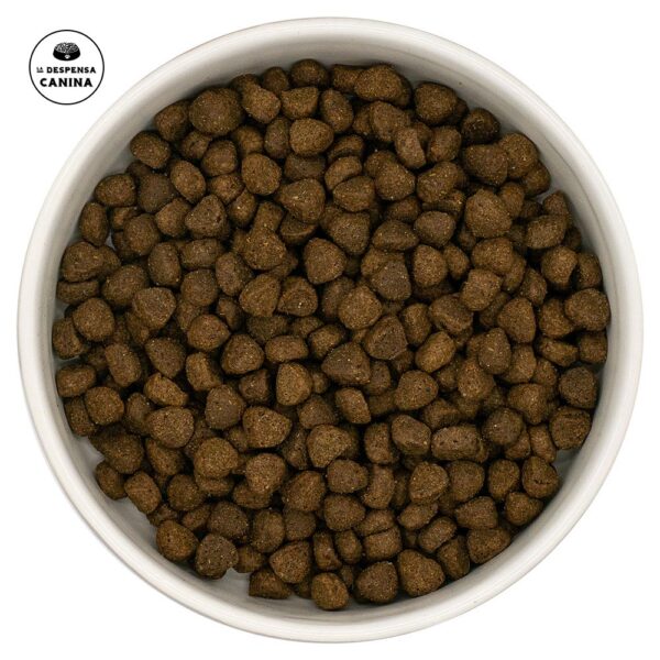 Ladecan Supra Mini Angus