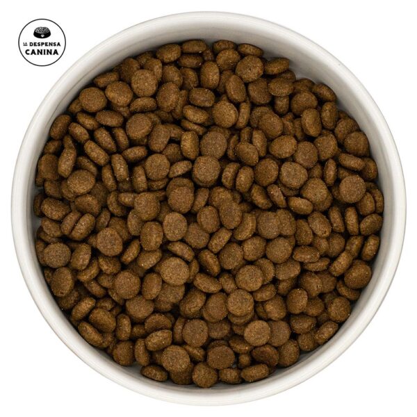 Ladecat Gourmet Esterilizado Pato y Sardinas