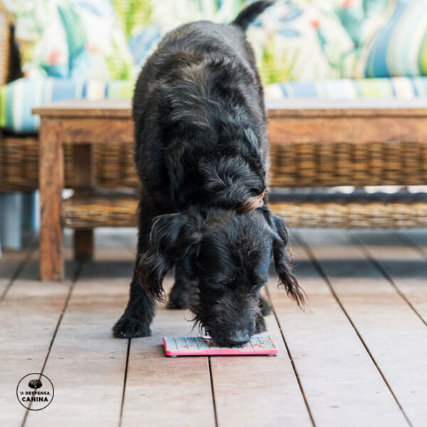 LickiMat Playdate Tuff - Imagen 5
