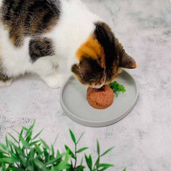 Ne&No comedero para gatos respetuosos con sus bigotes