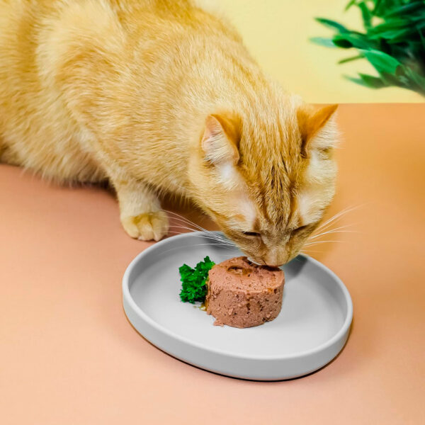 Ne&No comedero de silicona para gatos