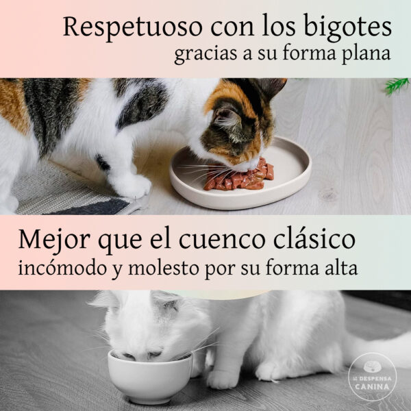 Ne&No comederos para gatos respetuosos con los bigotes
