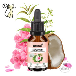 Noms plus Zpot On Gatos