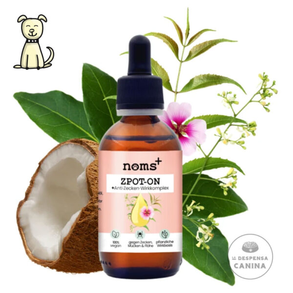 Noms plus Zpot On Perros