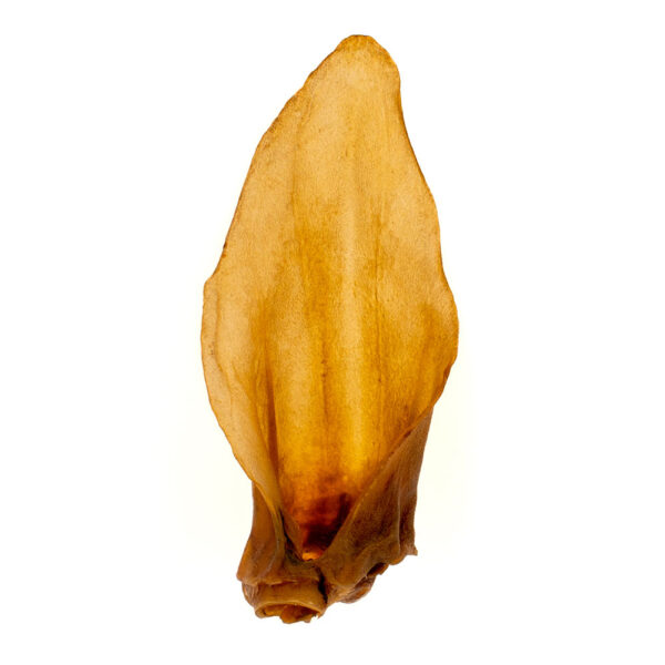 Oreja de ciervo