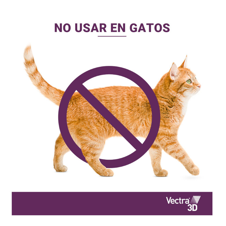 Pipetas Vectra no usar en gatos