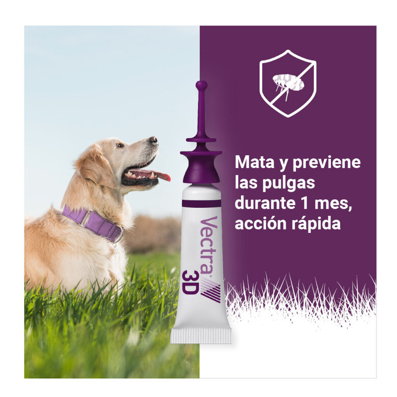 Pipetas Vectra prevencion durante 1 mes