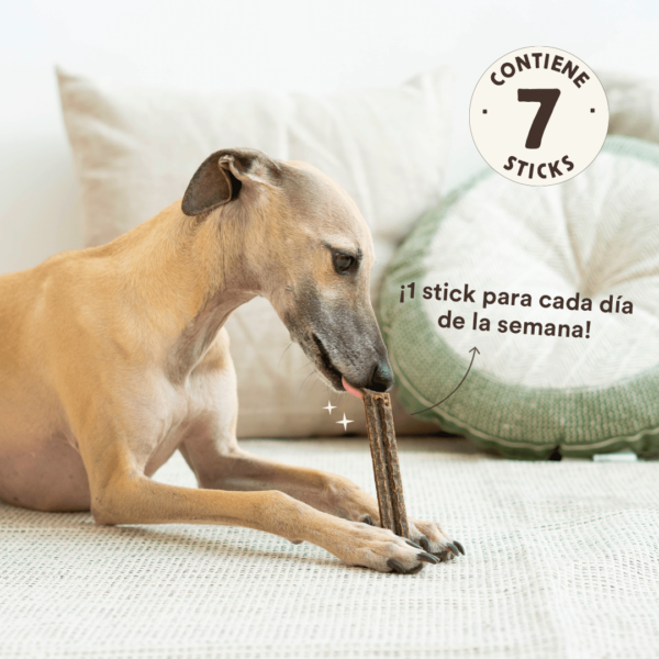 Sticks Dentales de ternera Wild Balance 4