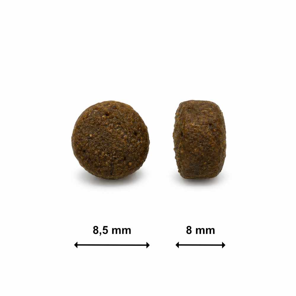 Tamano de croqueta del pienso Ladecan Cachorro Salmon y Esparragos