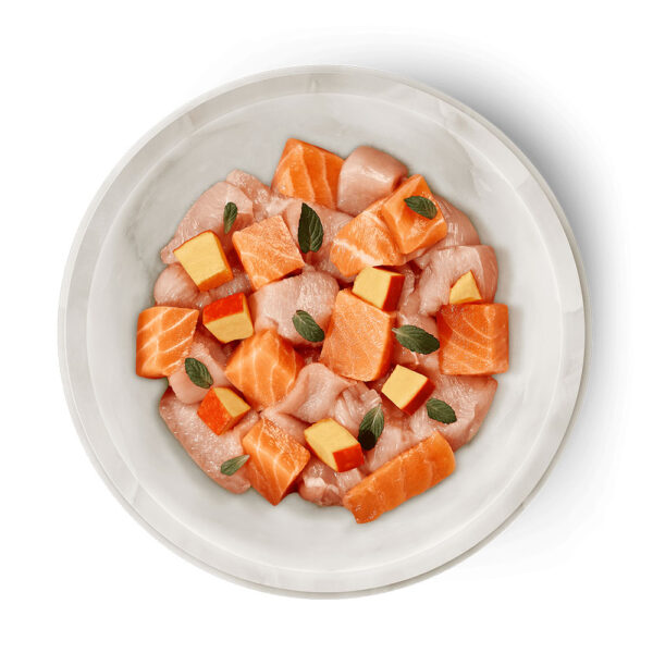 Terra Felis Salmón y Pollo 80 g - Imagen 2