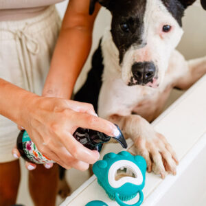 The Doog Life cepillo con jabon