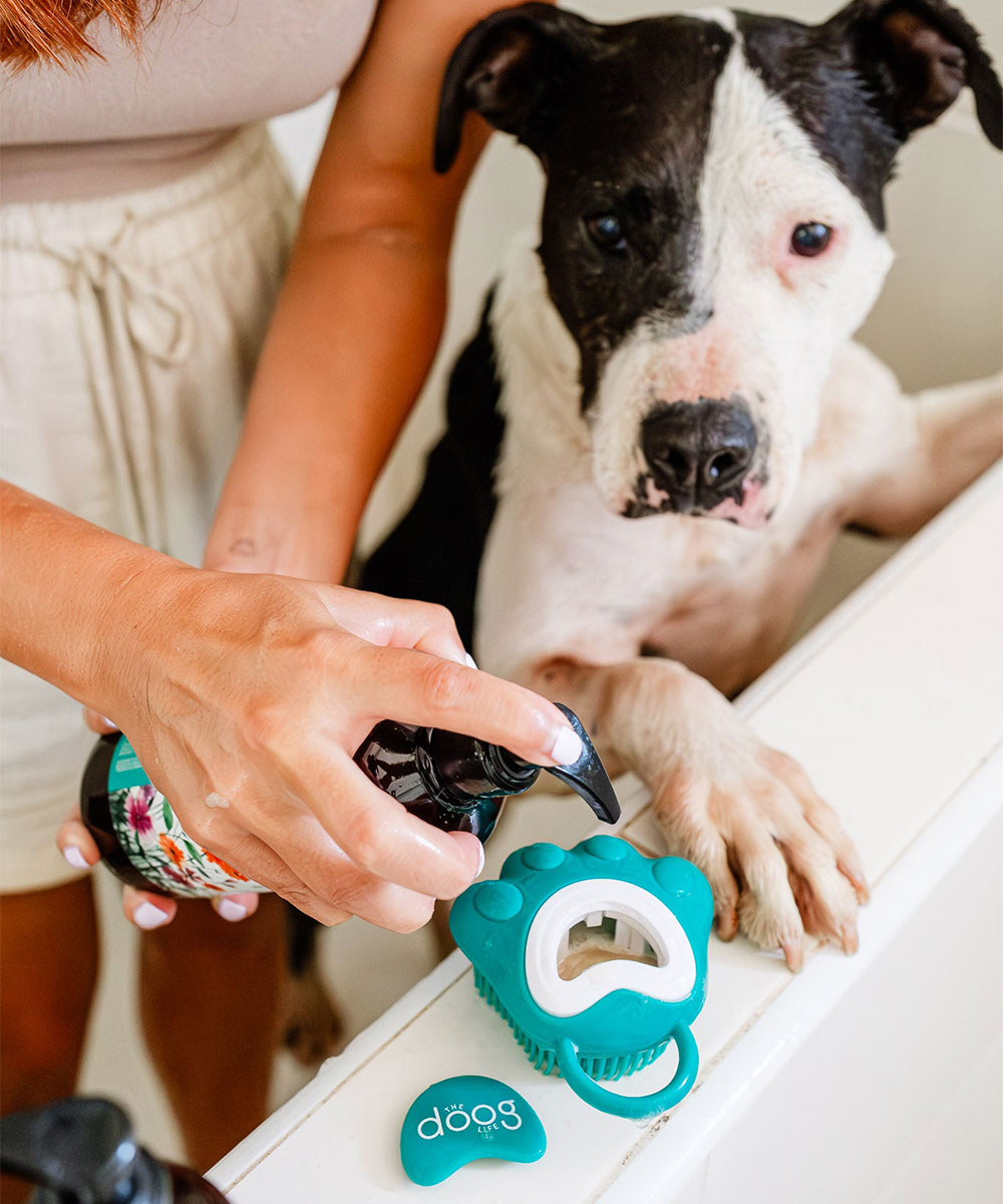 The Doog Life cepillo con jabon