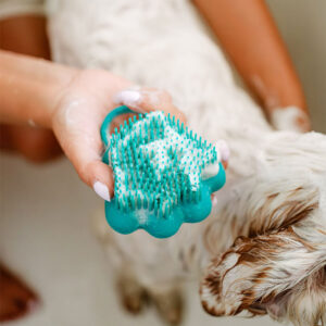 The Doog Life cepillo para perros