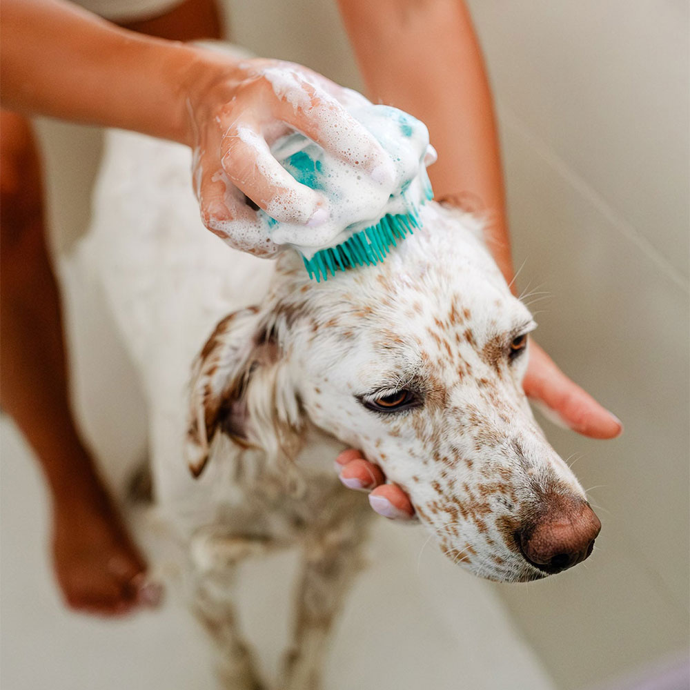 The Doog Life cepillo suave para perros