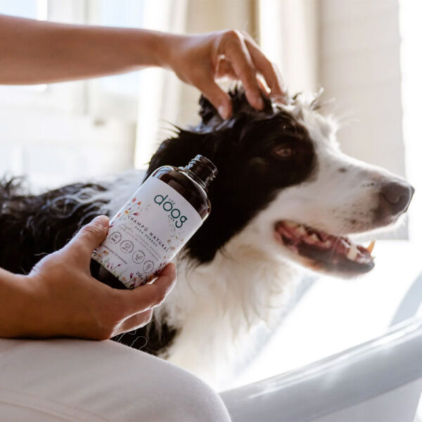 The Doog Life champú natural