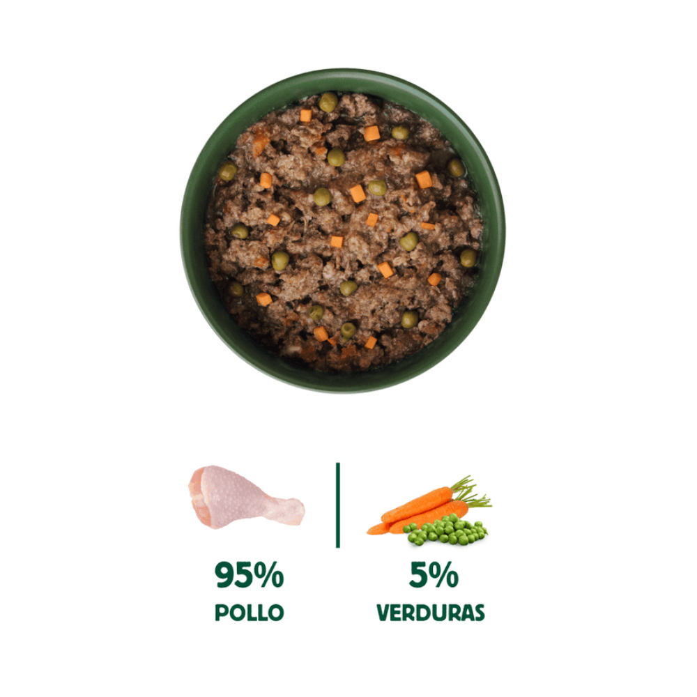 Wild Balance Gato Cazuela de Pollo 80 g en plato