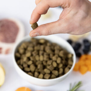 Ydolo Iberico semihumedo