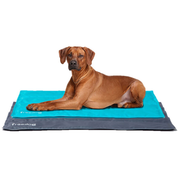 Alfombra Refrescante XL 110x70