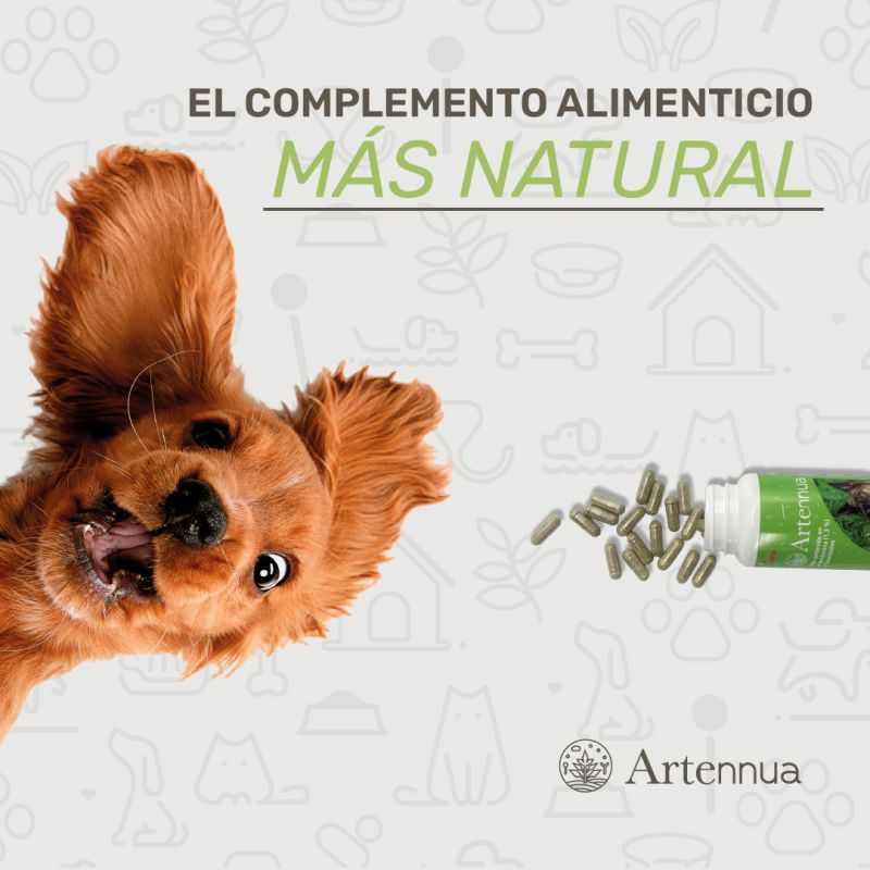 Learn more about Artemisia annua - Artennua®