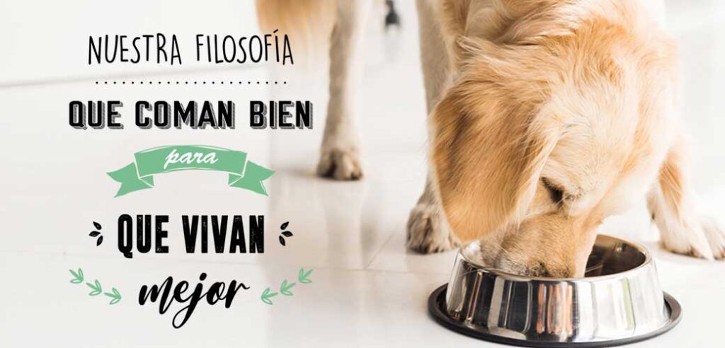 Que coman bien para que vivan mejor