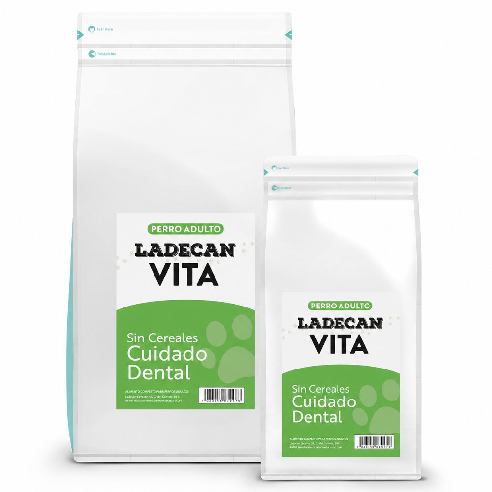 ladecan vita dental