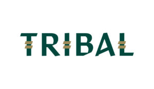 logo marca tribal