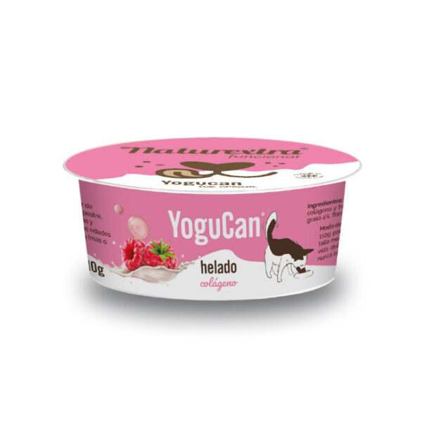 YoguCan helado de frambuesa